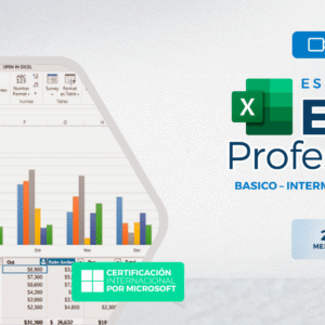 Excel Profesional.