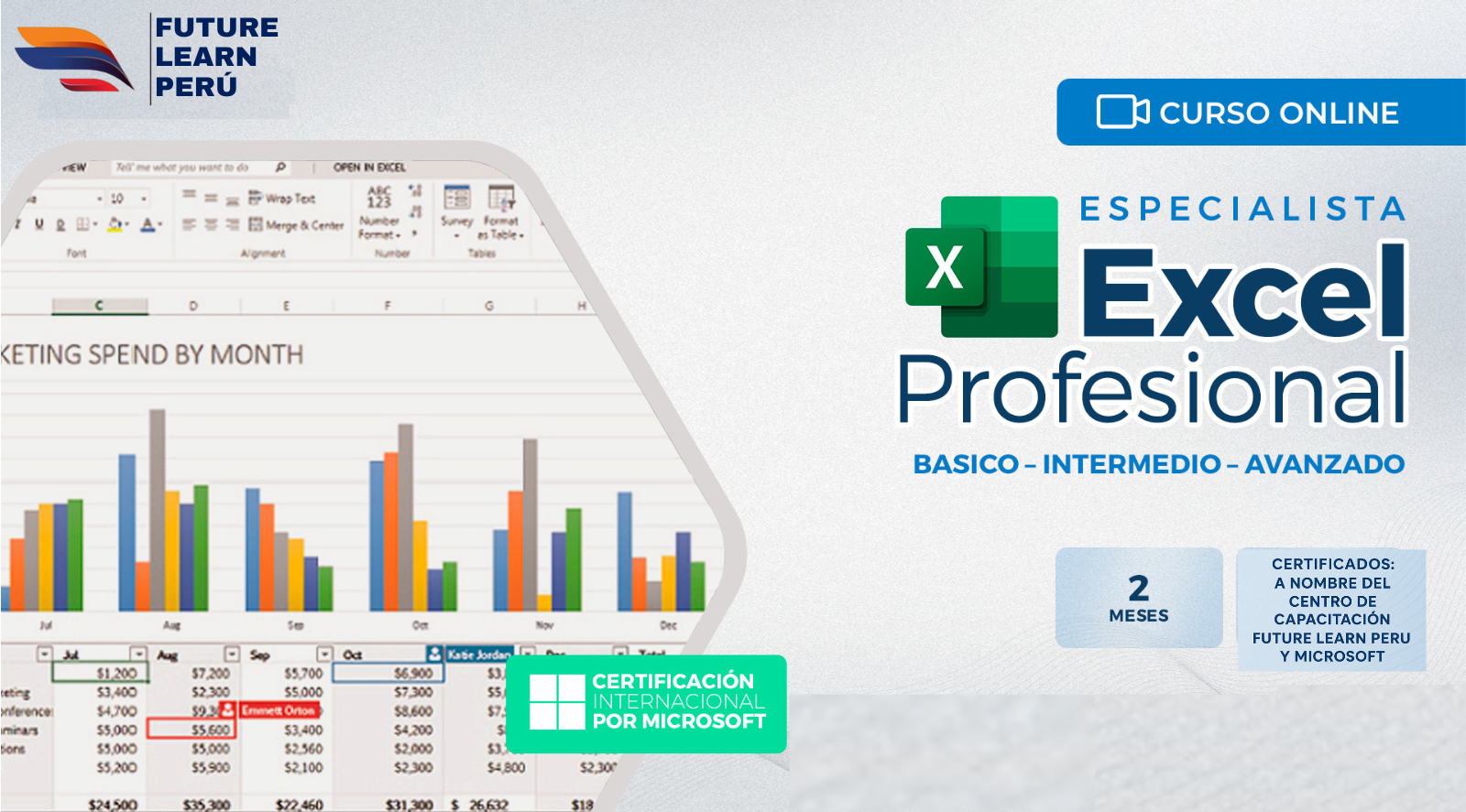 Excel Profesional.