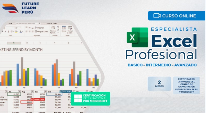 Excel Profesional de Basico a Avanzado.